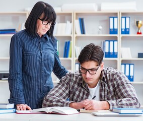 Young student during individual tutoring lesson