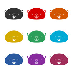 Beaver icon isolated on white background, color set