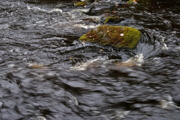 Fishing on wild forest lakes and rivers, nature.