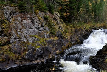 Fishing on wild forest lakes and rivers, nature.