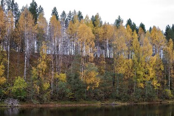 Fishing on wild forest lakes and rivers, nature.