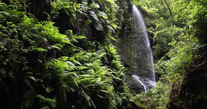 Scene of Tilos waterfall in La Palma Island, Canary Islands. 4K UHD