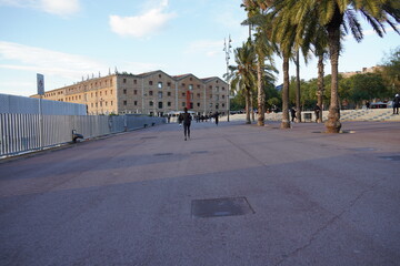 palmeras y cielos azules