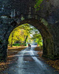 Ayvat Bendi view in Belgrad Forest in Istanbul 