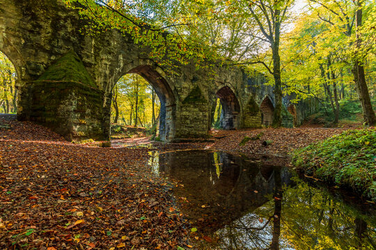 Ayvat Bendi view in Belgrad Forest in Istanbul 