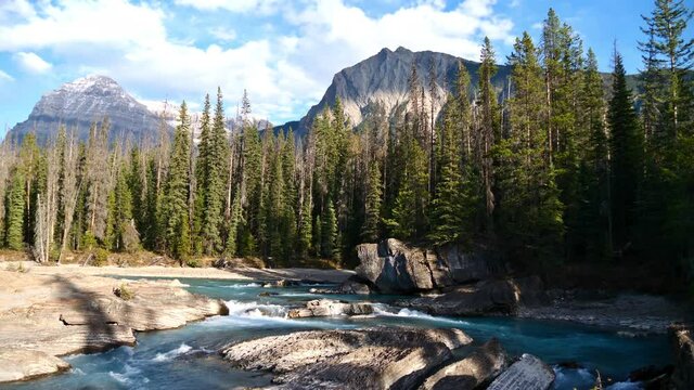 Beautiful view of wild mountain stream Kicking Horse River at Natural Bridge in Yoho National Park, British Columbia, Canada in the afternoon in autumn season with eroded rocks, coniferous forest and 