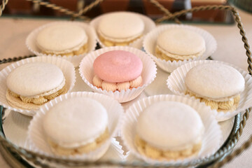 Sweet cookies with cream laid out on a tray.