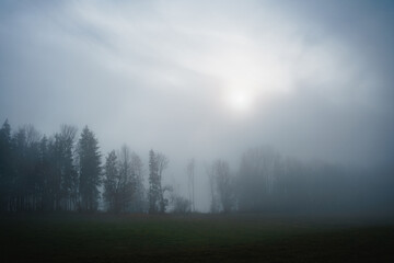 Nebel, Sonne, Bäume, Wolken