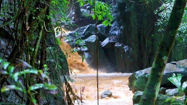 Wang Sao Thong Waterfall in tropical rainforest Koh Samui Thailand.