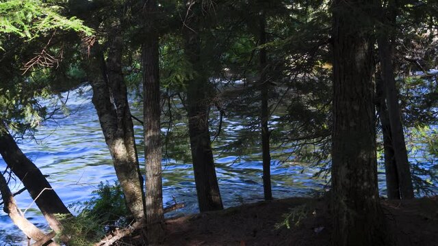River flowing between banks of trees in northern Michigan in late summer--view of the river through a clearing between trees; blue water, green trees. 258
