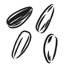 Sunflower seed isolated on white background. Hand drawn sketch. Vector illustration.