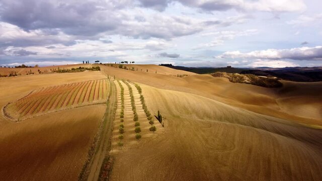 Typical rural fields and landscape in Tuscany Italy - travel photography