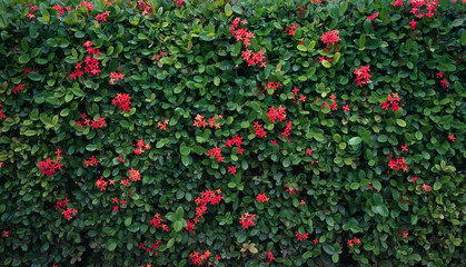 Green and Bright Pink Plant Wall