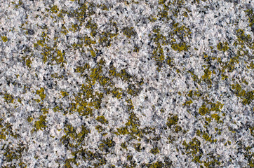 The background of the uniformly crystalline tiles is olive-gray.