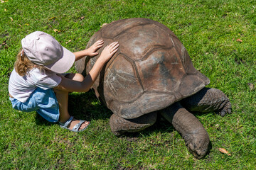 Caucasian girl playing a giant turtle on the park, mauritius island
