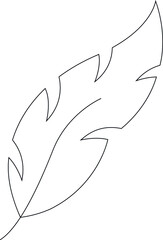 filled feathers icons feathers  and soft