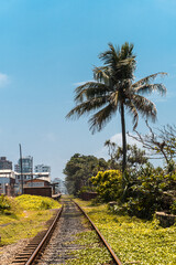 Tropikalny krajobraz z torami kolejowymi, piękny słoneczny dzień i palmy.