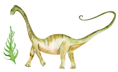 Dinosaur watercolor element. Template for decorating designs and illustrations.