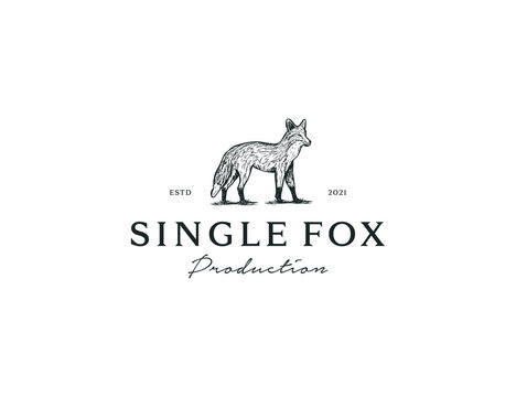 Single Fox