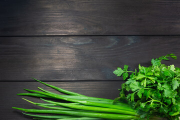 Fresh garden herbs on a dark wooden background with space for text. Top view. Concept of healthy, vegetarian, diet food.