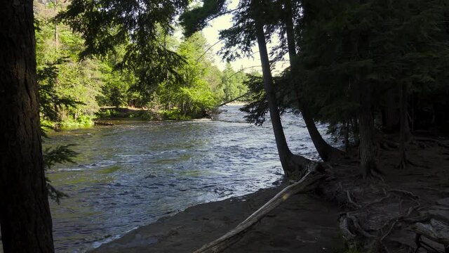 River flowing between banks of trees in northern Michigan in late summer--view of the river through a clearing between trees; blue water, green trees. 271
