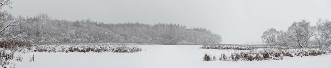 Panorama. Fresh snow on reeds by the small river running through the forest on misty winter day. Monochrome winter landscape. Zaslavsky reservoir. Minsk Sea
