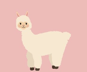 cute fluffy llama on pink background © Lera