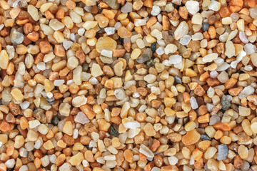 Sea sand (Ghajn Tuffieha beach, Malta) with reddish orange particles few ocean shell remains visible. Microscope photo, image width 9mm