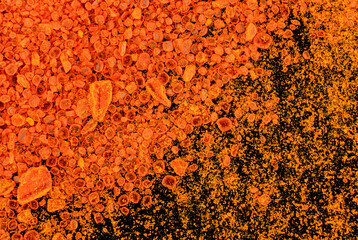 Small bright orange crystals of potassium dichromate, microscope photo, image width 16mm