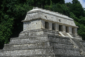 Fototapeta na wymiar Tempio Maya nello Yucatan .Messico