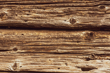 Closeup picture of old rustic wooden planks eaten by caries