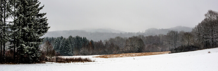 A field with snow and trees in autumn colors in the fog