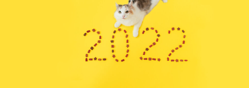 cat and numbers 2022 made on isolated yellow background from kitten cat food. High quality photo