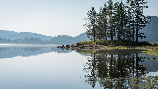 Morning lake in the forest.