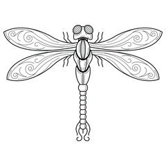 Abstract Black Dragonfly Insect Bug Wings Nature Doodle Outline Vector Design Style Wildlife