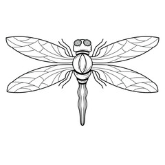 Abstract Black Dragonfly Insect Bug Wings Nature Doodle Outline Vector Design Style Wildlife