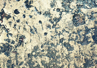 wet conctete wall texture