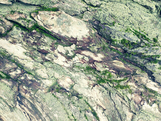 old stone texture