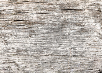 Old wooden background. Withered wood texture.