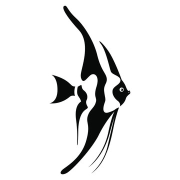 recommend clip art: vector black and white illustration of a silhouette of a beautiful decorative aquarium fish isolated on white background. useful for aquariums, pet shops, fish food, logo, advertising, print, tattoo