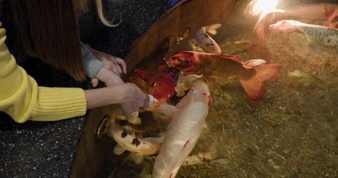 A woman and a girl feed colorful colored carp from a bottle and stroke them with their hand
