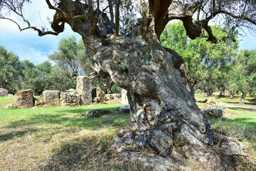 archeological site in town Sparta in Greece