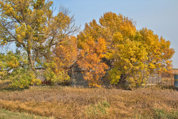 Autumn colors on the trees surround a farm storage building