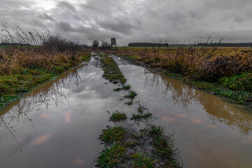 Dark path from Plana to Nahy Ujezdec village in cold winter evening