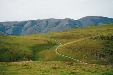 Track over the Pyrenees from St Jean Pied du Port to Roncevaux on the Camino Frances to Santiago de...