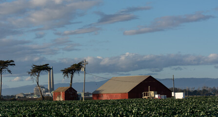 Red Farm house near Moss Landing