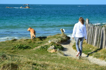 Une femme qui promène son chien en bord de mer en Bretagne