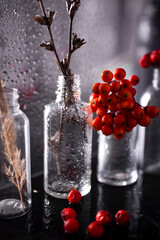 Autumn still life with clusters of mountain ash, on a background of glass with water drops