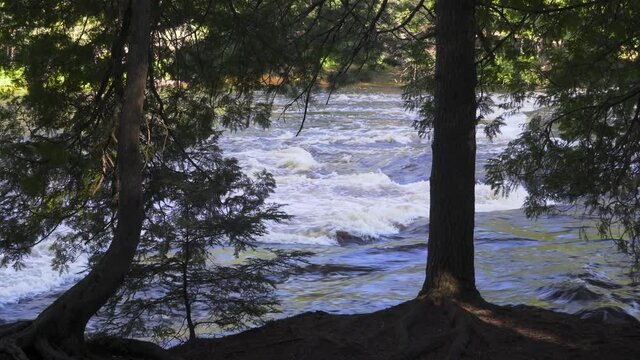 River flowing between banks of trees in northern Michigan in late summer--view of the river through a clearing between trees; blue water, green trees. 277

