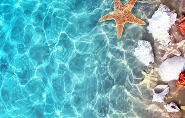 Fototapeta na wymiar Starfish, coral and seashell on the summer beach in sea water. Summer background.